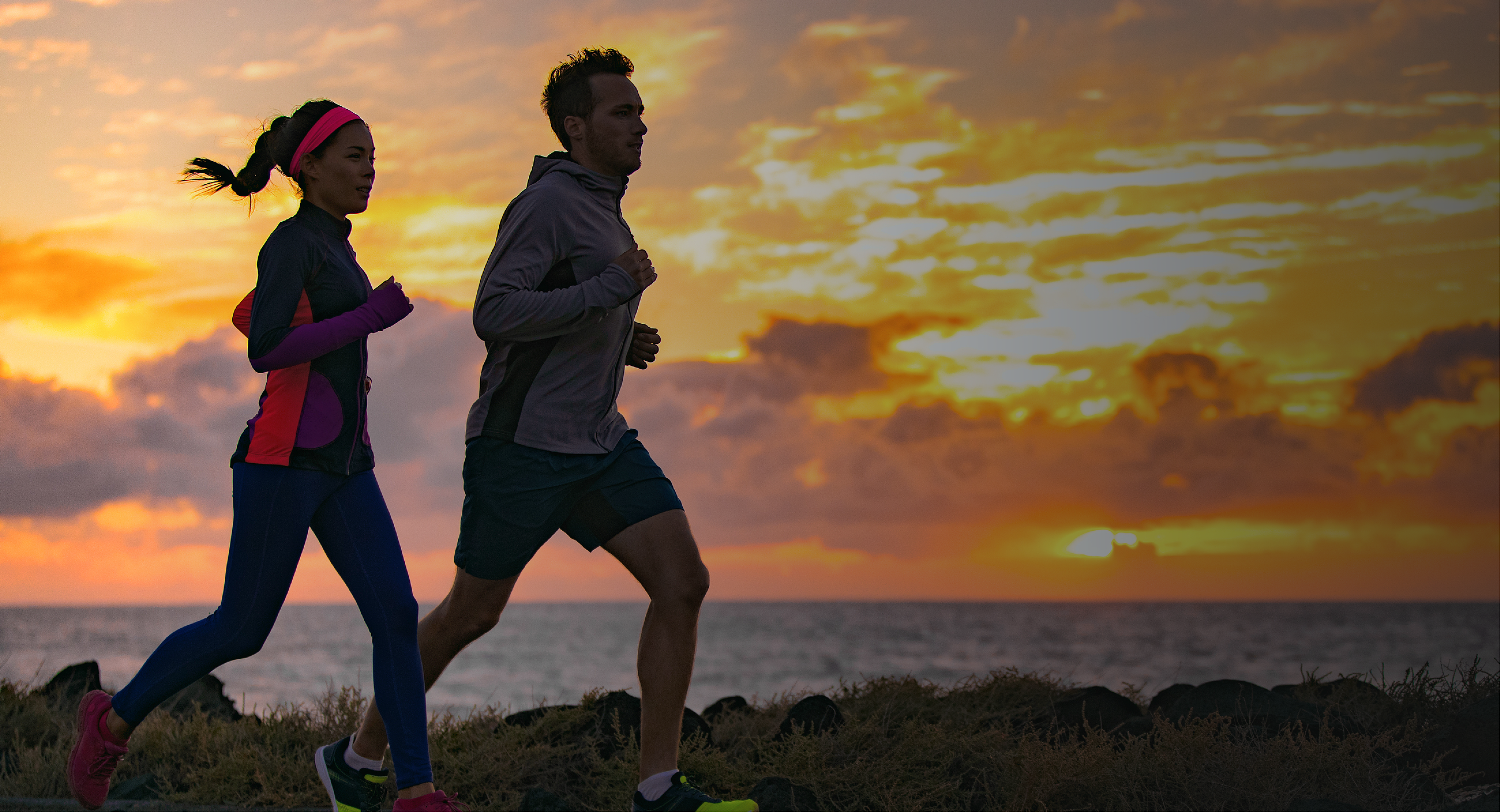 wellness-journey-header